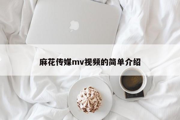 麻花传媒mv视频的简单介绍