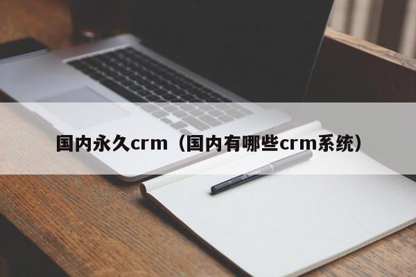 国内永久crm(国内有哪些crm系统)